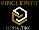 Logo Vince Expert Consulting